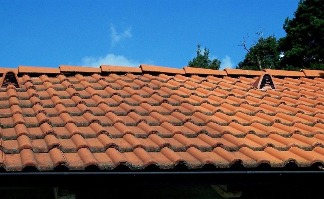 Mytí střech a budov